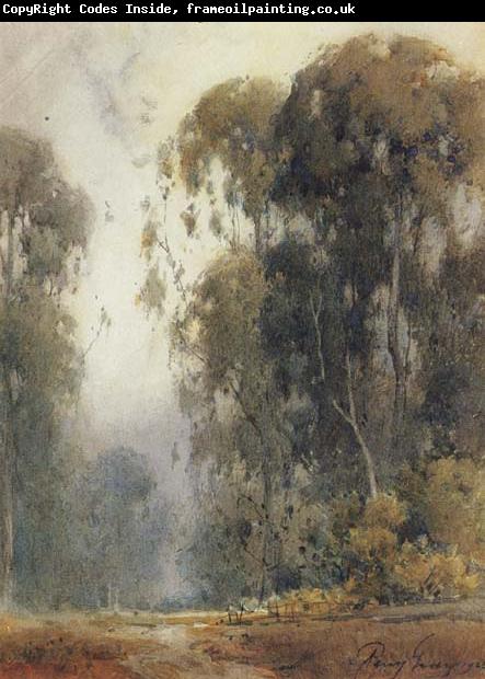 unknow artist Eucalyptus Trees