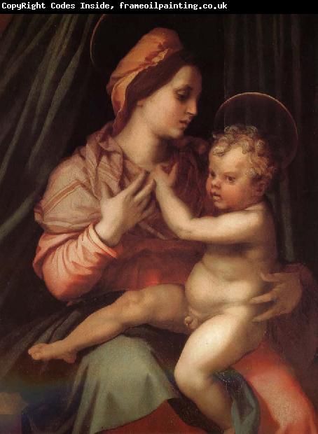 Andrea del Sarto The Virgin and Child