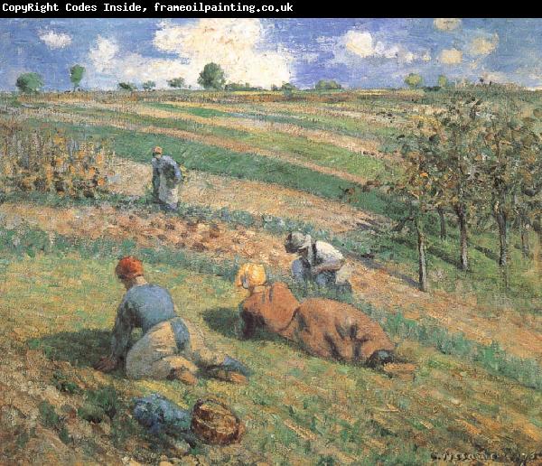 Camille Pissarro Field work