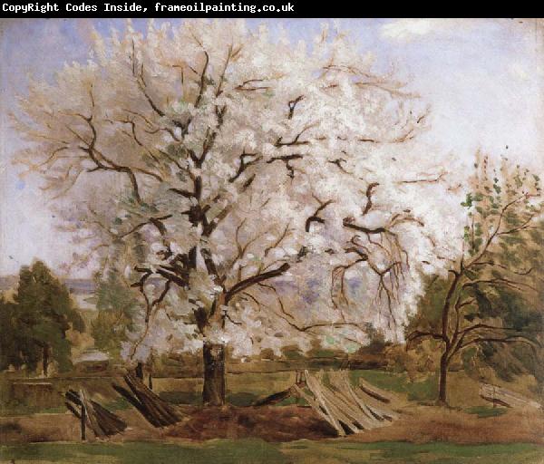 Carl Fredrik Hill apple tree in blossom