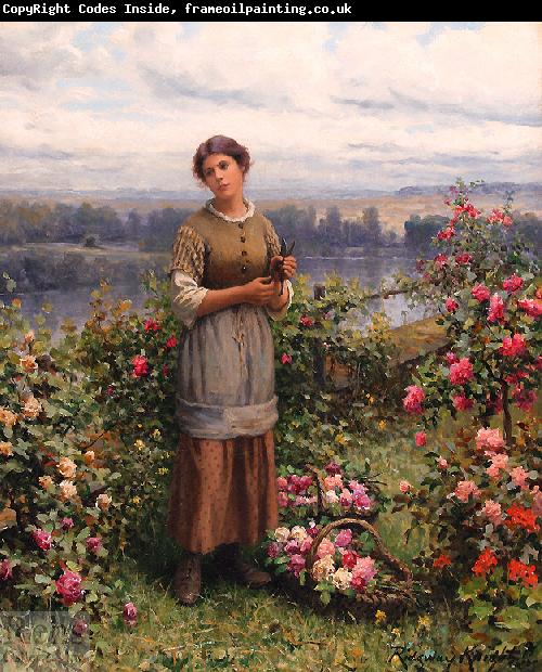 Daniel Ridgeway Knight Julia Gathering Roses