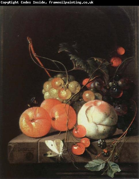 Jan Davidz de Heem still life of fruit