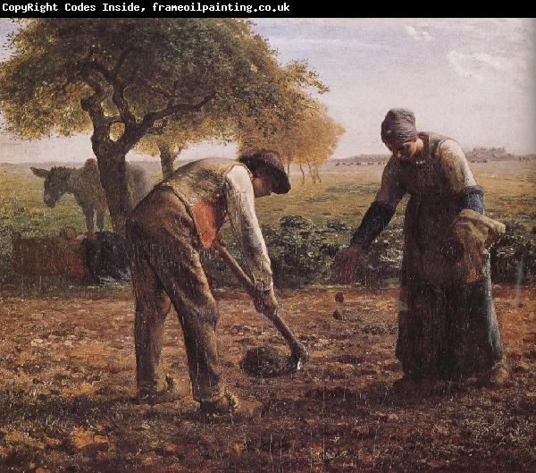 Jean Francois Millet Sower