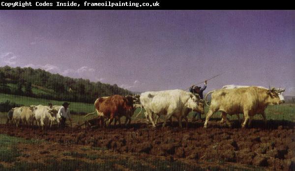 Rosa Bonheur plojning i nivernais