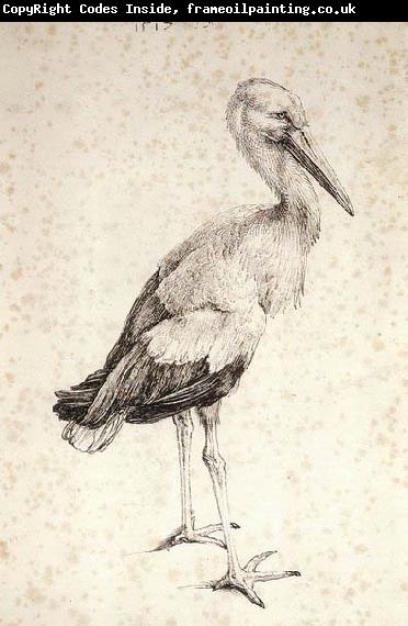 Albrecht Durer The Stork