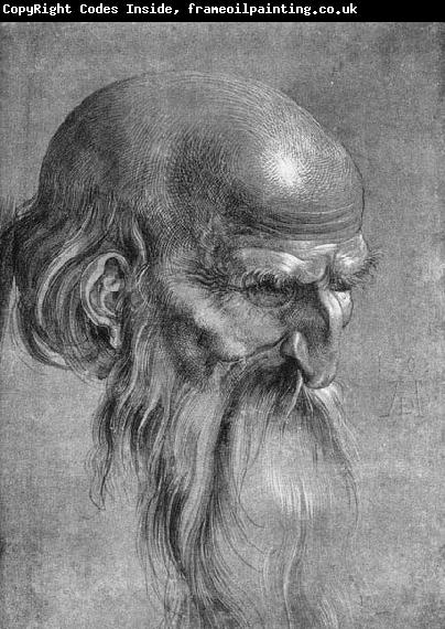 Albrecht Durer Head of an Apostle Looking Downward