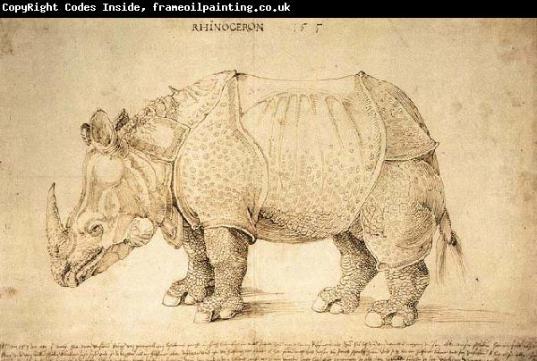 Albrecht Durer Rhinoceros