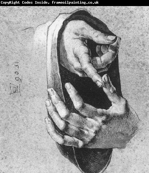 Albrecht Durer Study of Hands