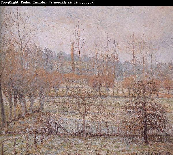 Camille Pissarro Morning frost