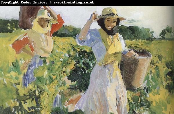 Joaquin Sorolla Sherry grape mining