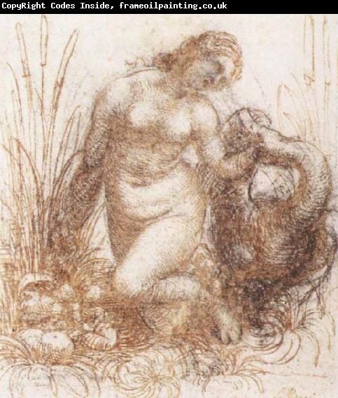 Leonardo  Da Vinci Study for a kneeling Leda