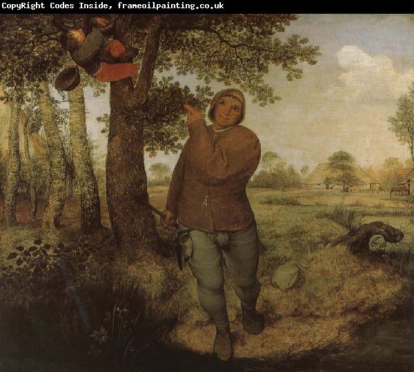 Pieter Bruegel From farmers and Selenocosmia