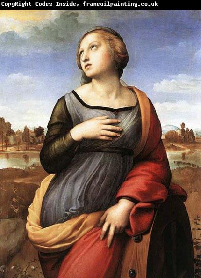 RAFFAELLO Sanzio St Catherine of Alexandria