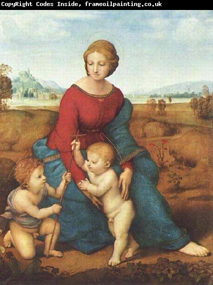 Raphael The Madonna of the Meadow