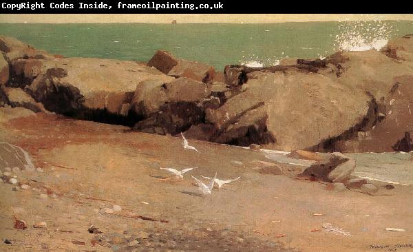 Winslow Homer Rocky shore and the seagulls