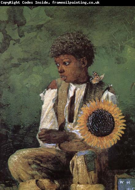 Winslow Homer Dedicated to the teacher s sunflower