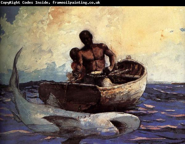 Winslow Homer Shark