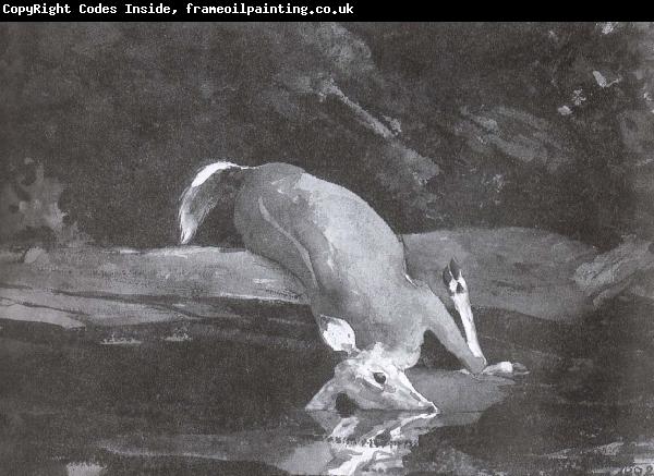 Winslow Homer The deer stumble