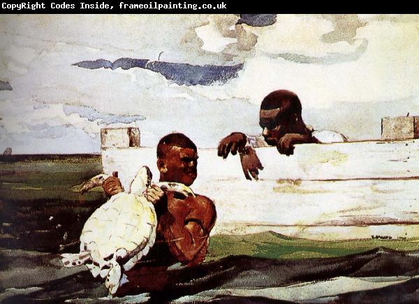 Winslow Homer Turtles captured in