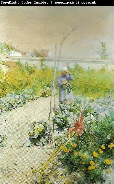 Carl Larsson i kakstradgarden