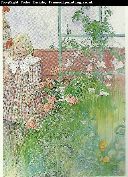 Carl Larsson stott- flicka vid spalier