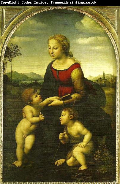 Raphael virgin and child wild st.