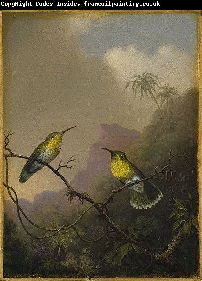 Martin Johnson Heade Two Humming Birds