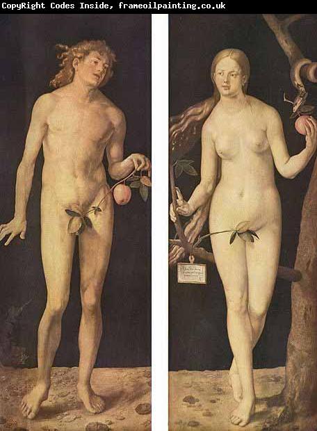 Albrecht Durer Adam and Eve