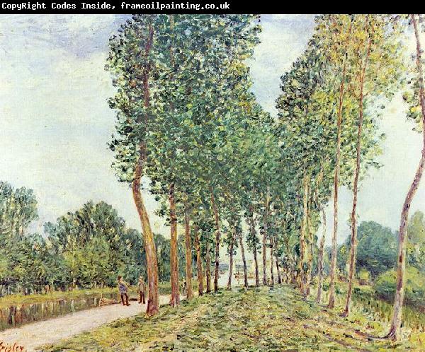 Alfred Sisley Ufer der Loing bei Moret