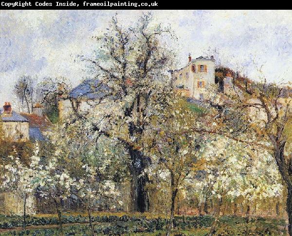 Camille Pissarro Material and Dimensions