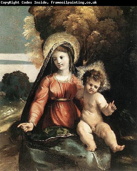 Dosso Dossi Madonna and Child