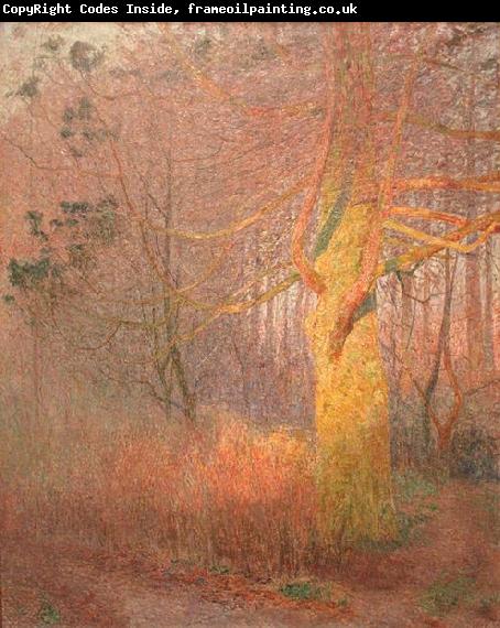 Emile Claus Tree in the Sun