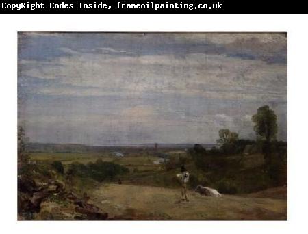 John Constable Summer morning: Dedham from Langham