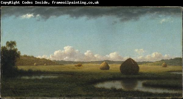 Martin Johnson Heade Summer Showers