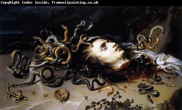 Peter Paul Rubens The Head of Medusa