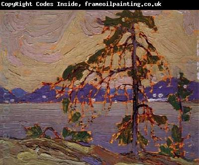 Tom Thomson Oil sketch for The Jack Pine