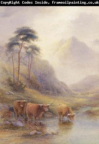 unknow artist Highland cattle in a stream