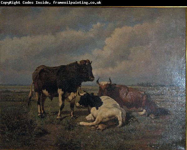 unknow artist Two cows and a bull