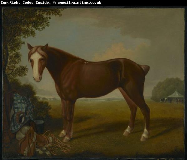 unknow artist Portrait of a Horse