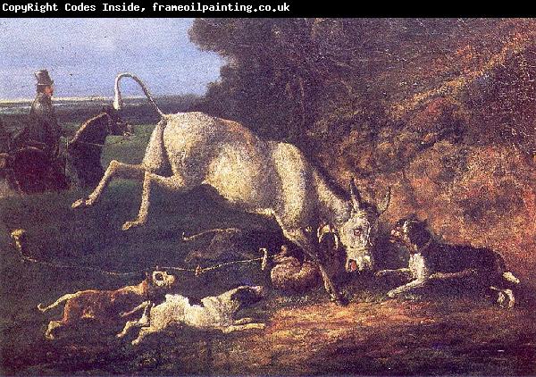 unknow artist Donkey-baiting