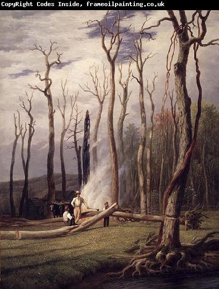 unknow artist Spring Burning Trees in a Girdled Clearing Western Scene