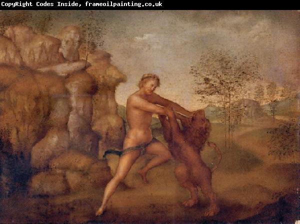 unknow artist Hercules and the Nemean Lion, oil on panel painting attributed to Jacopo Torni