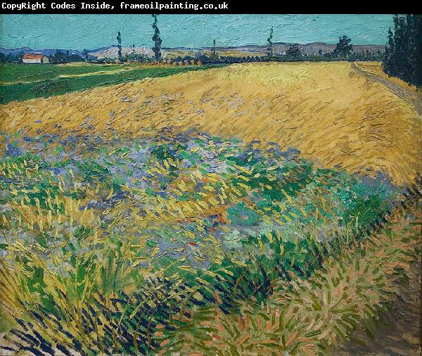 unknow artist Vincent van Gogh Wheatfield