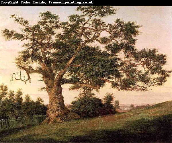 unknow artist The Charter Oak