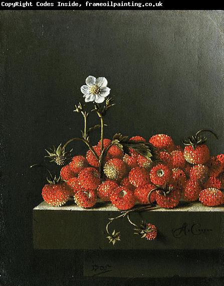 Adriaen Coorte Still life with wild strawberries.