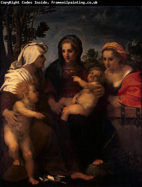 Andrea del Sarto Madonna and Child with Sts Catherine, Elisabeth and John the Baptist