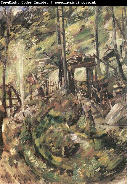 Lovis Corinth Walchensee, Springbrunnen