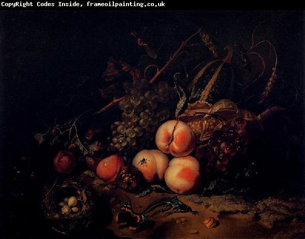 Rachel Ruysch Still-Life with Fruit and Insects