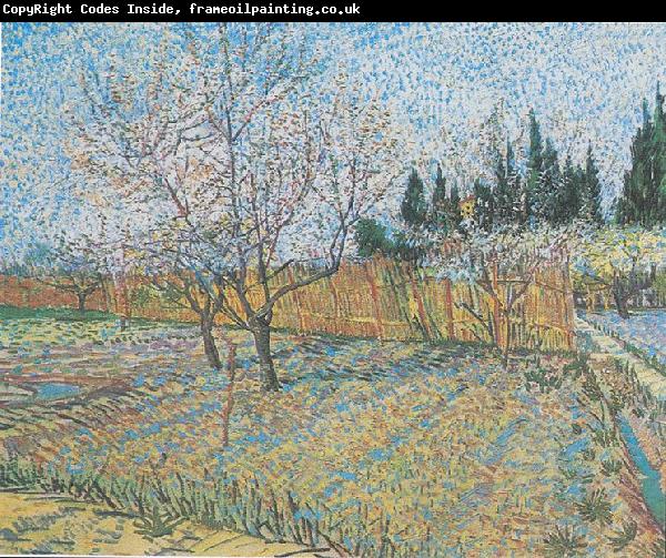 Vincent Van Gogh Flowering orchard with peach-trees