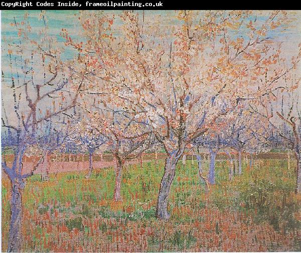 Vincent Van Gogh Orchard with flowering apricot-trees